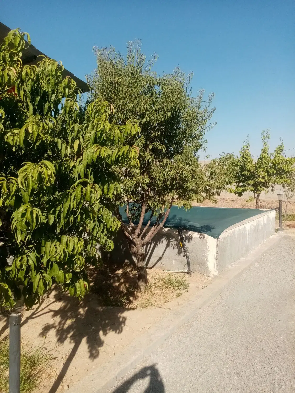باغ فروشی