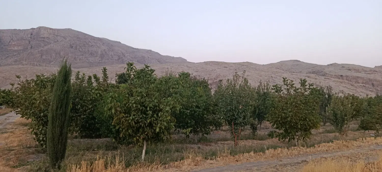 فروش باغشهری