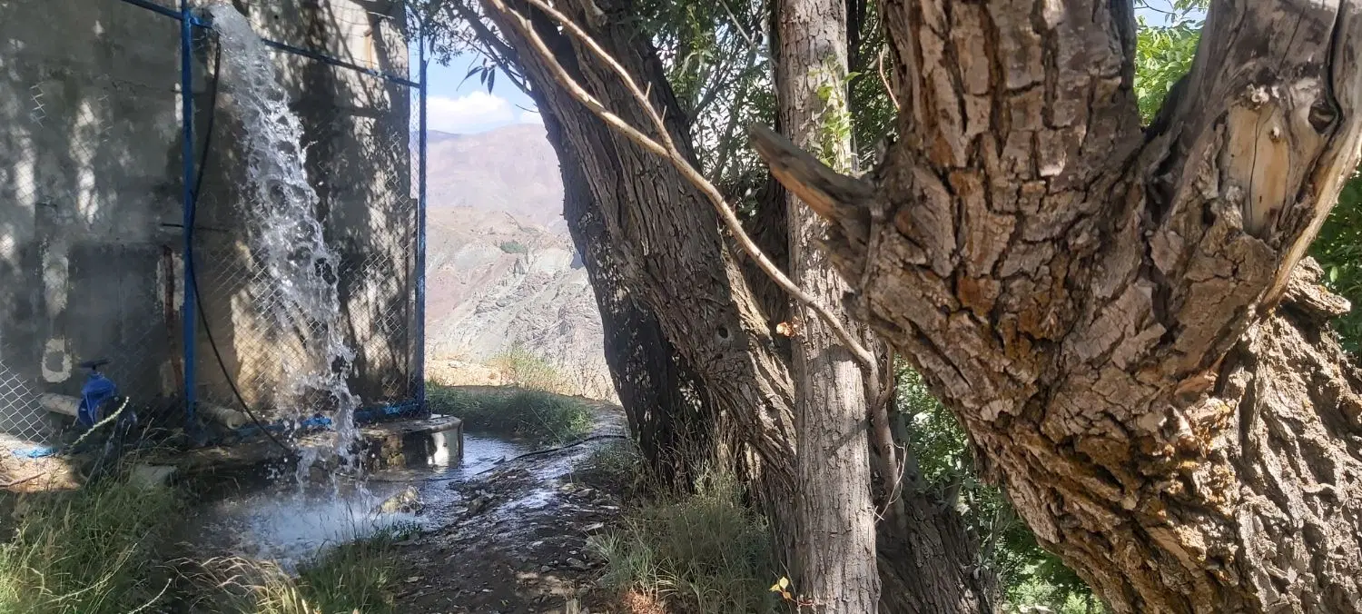 ۱۳۰۰ متر باغ در جاده چالوس روستای حرین