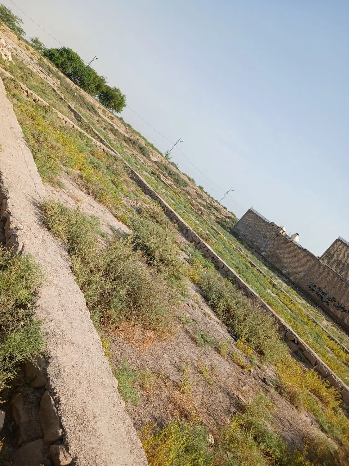 زمین در روستای ام اطمیر ۲۰۰ متر