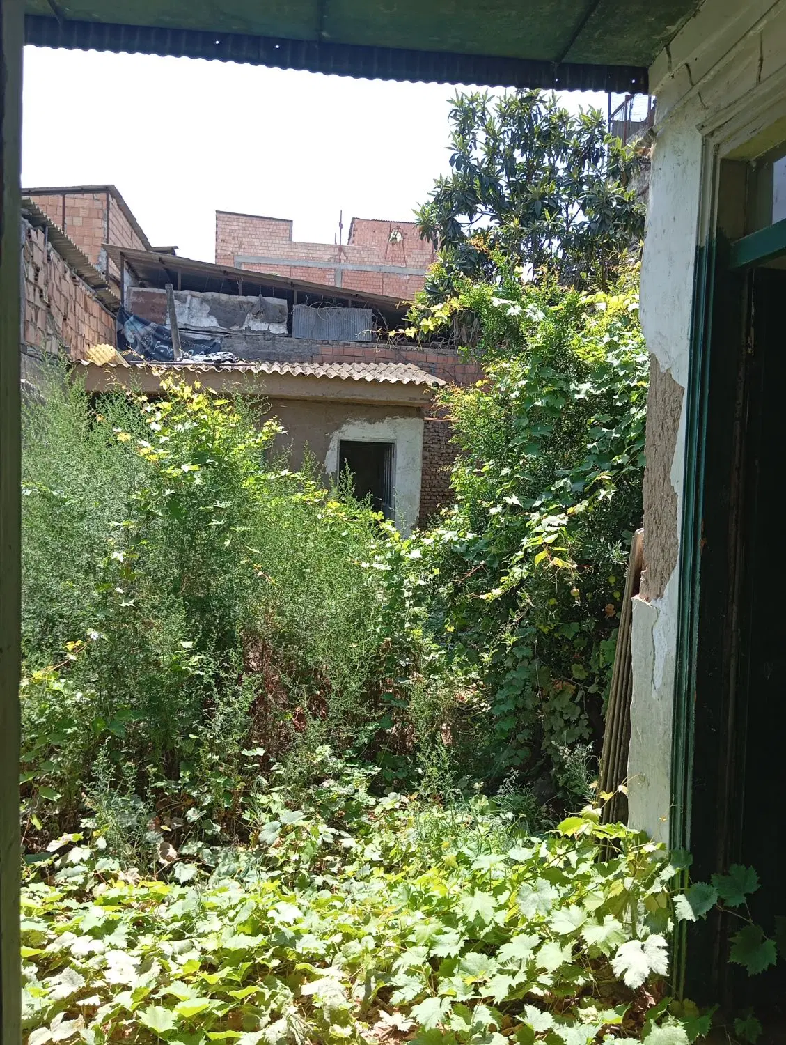خونه کلنگی