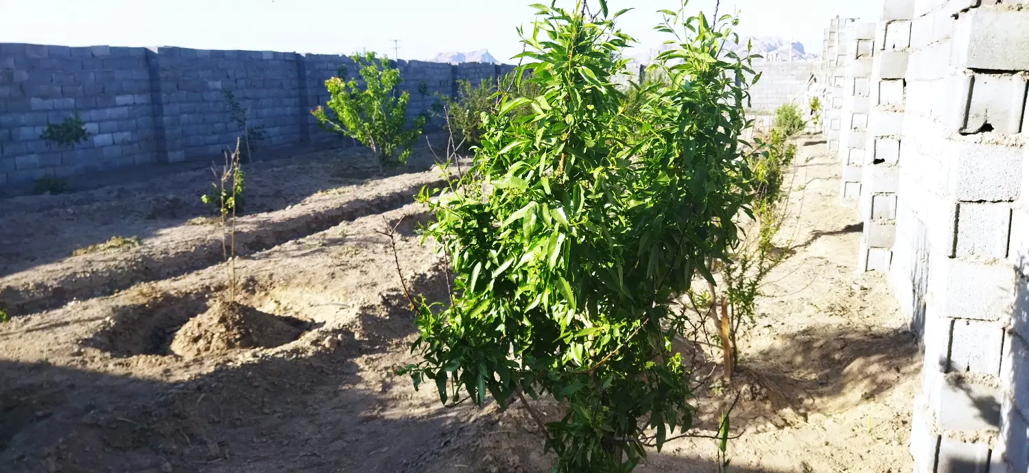 فروش باغ چهار دیواری