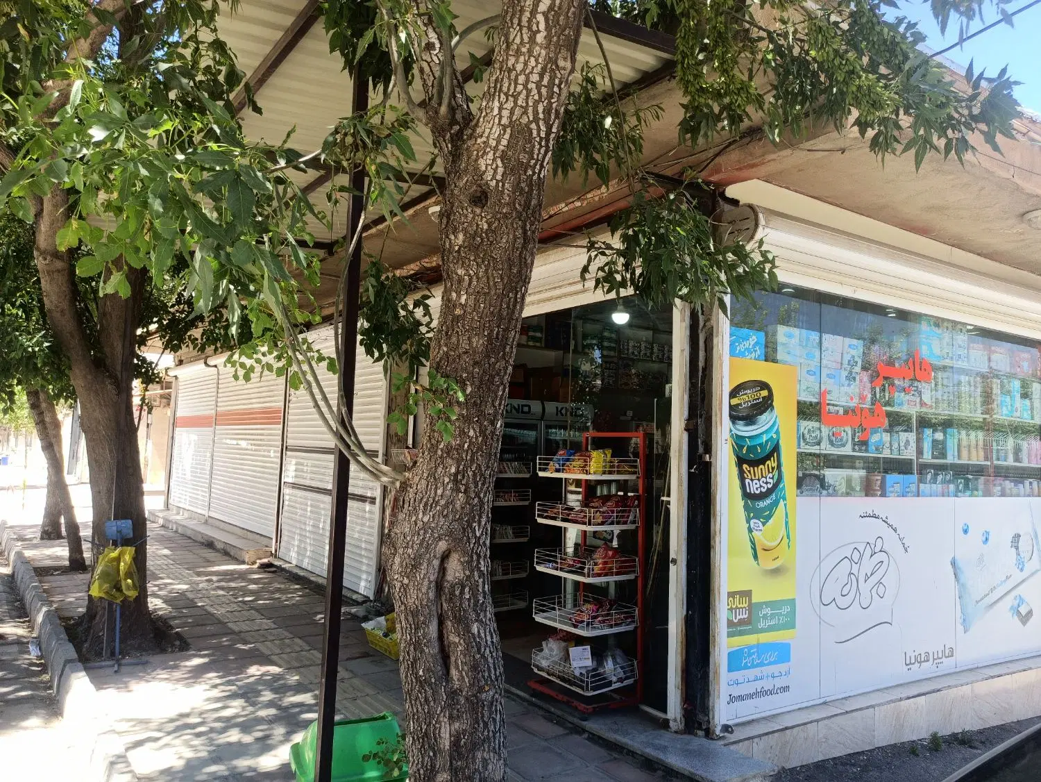 زمین بهاران بر بلوار