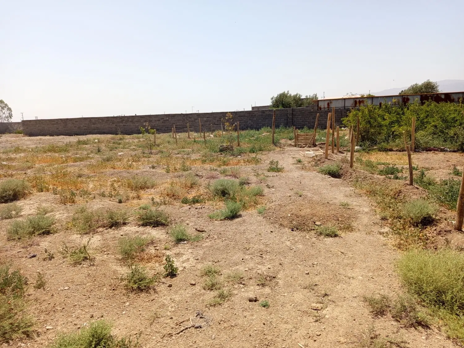 باغ وزمین کشاورزی