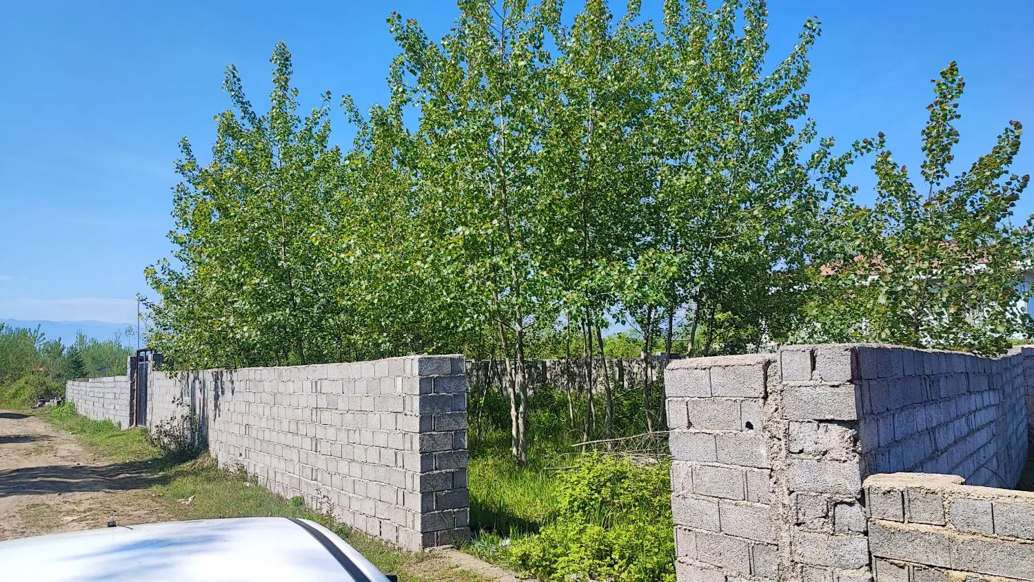 زمین مسکونی در چاف و چمخاله