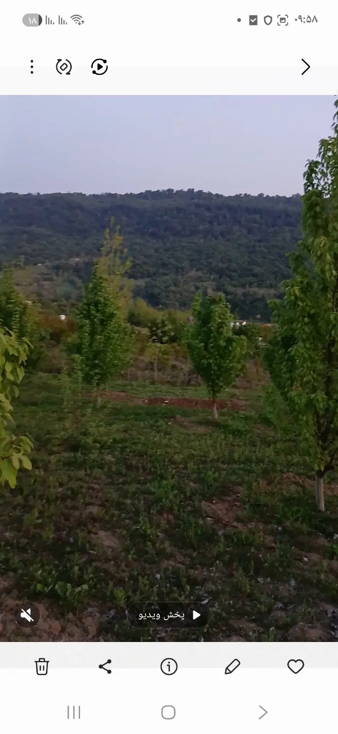 باغ میوه
