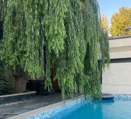 ۵۰۰ متر باغ چهاردیوار کاسبی