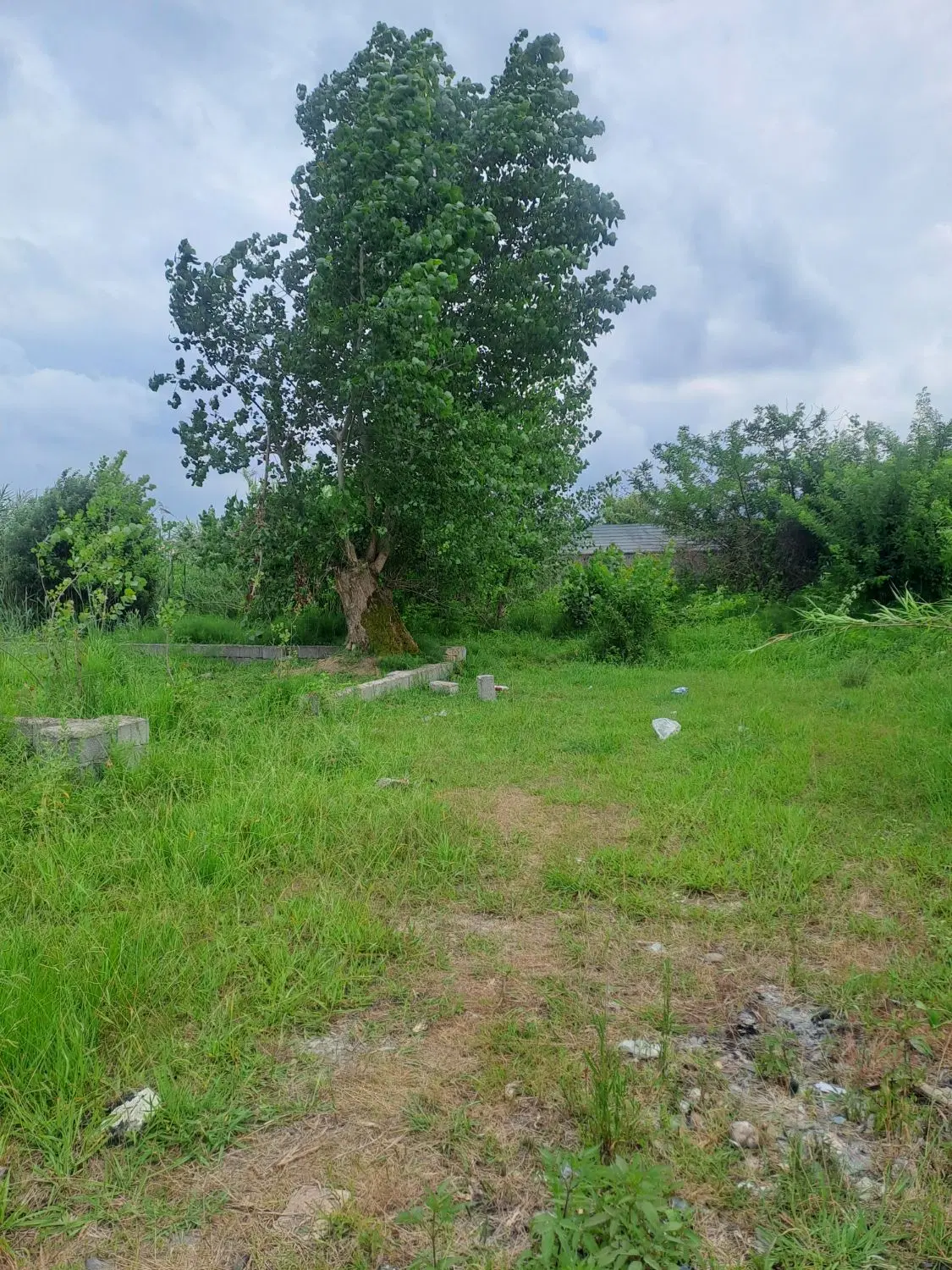 زمین پستک گلسار