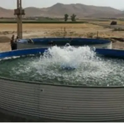 حوضچه ماهی