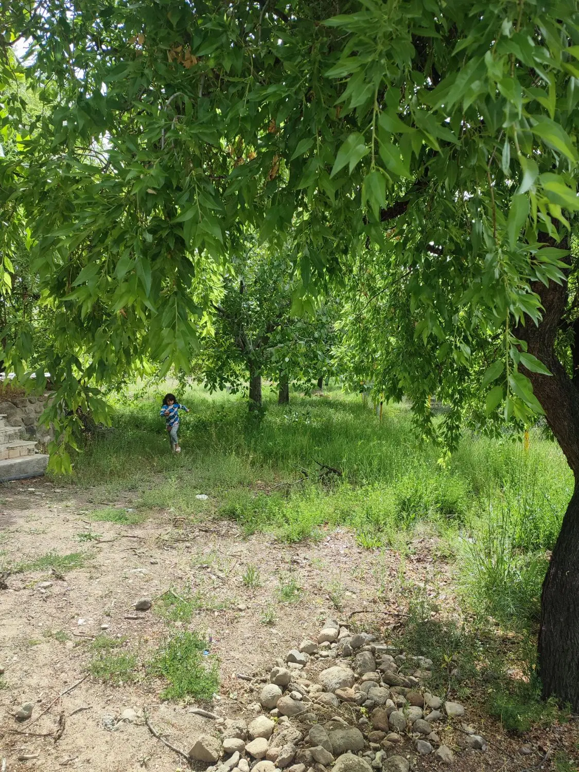 خانه باغ در گوغر