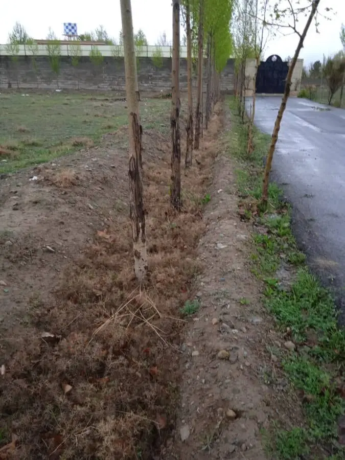 ۱۰۰۰ متر زمین در کردان
