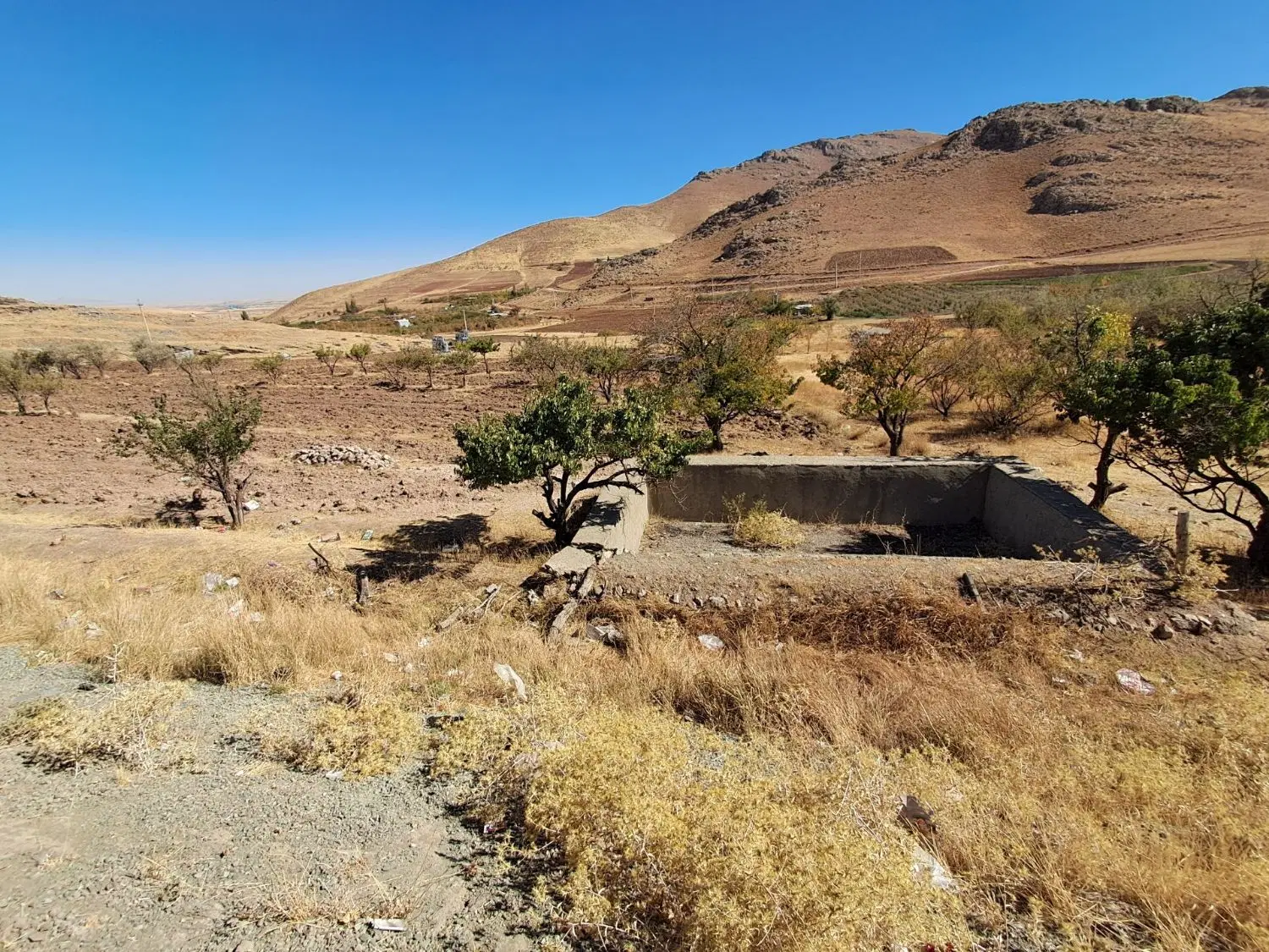 زمین خام کشاورزی
