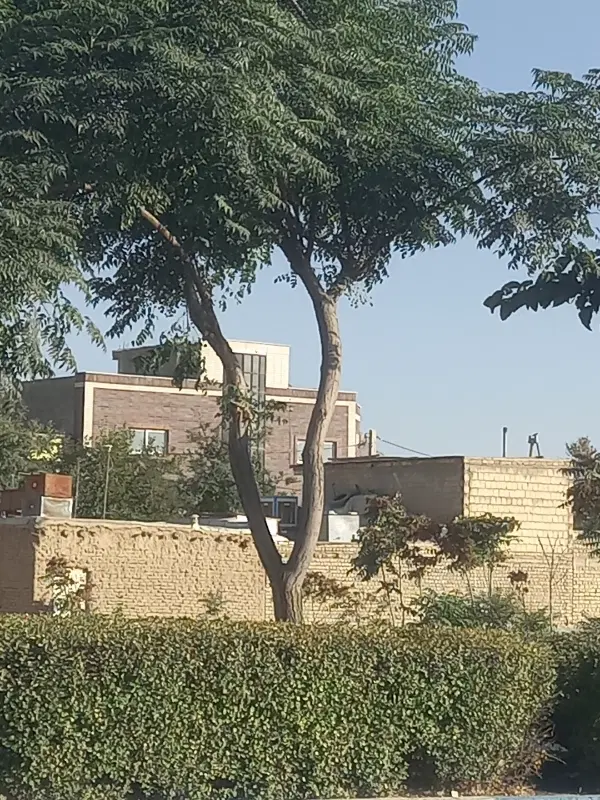 مستاجر