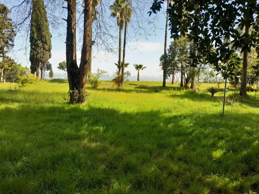 فروش عظیمیه فاز یک