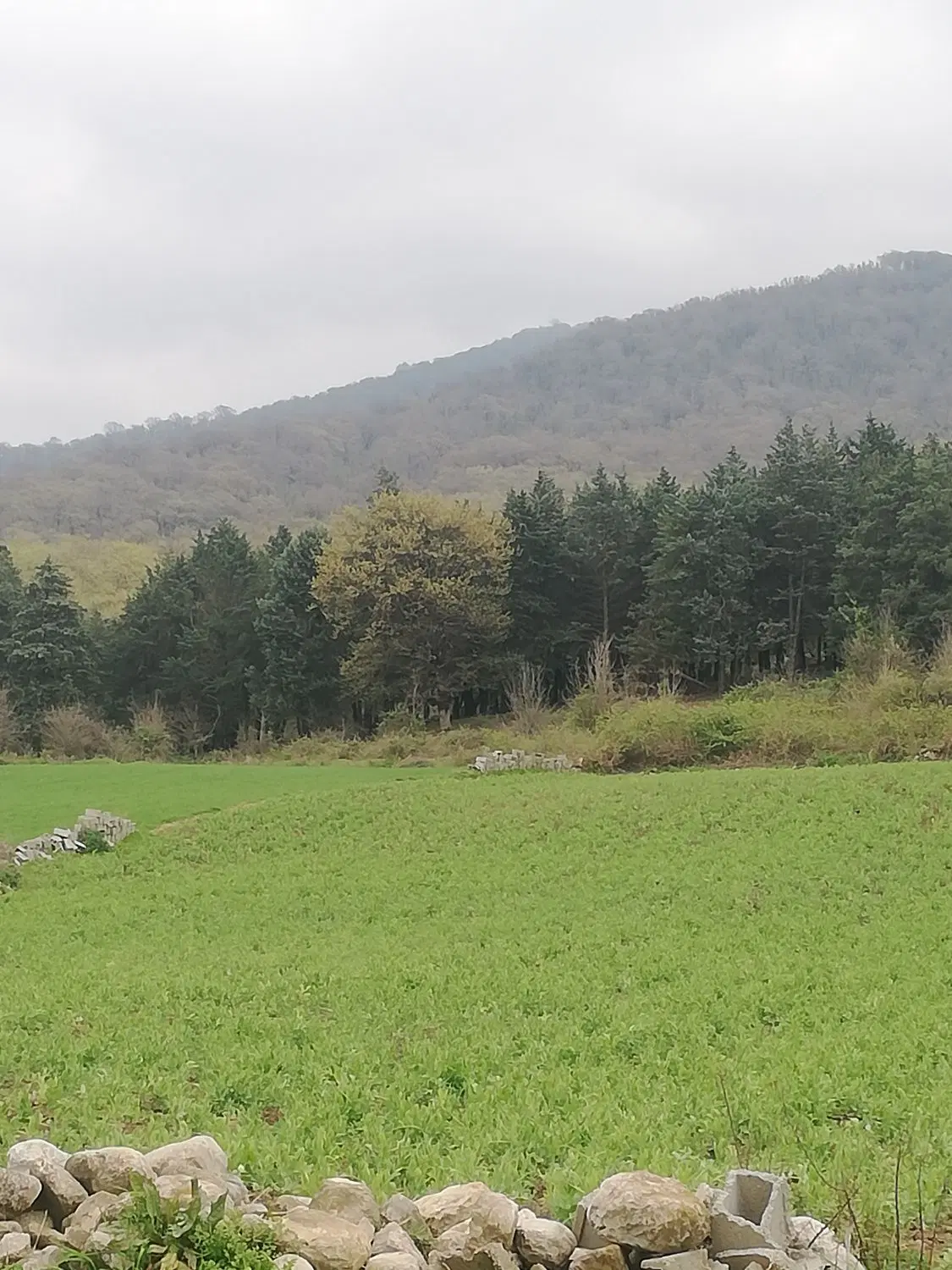 زمین اینده دار ویلایی