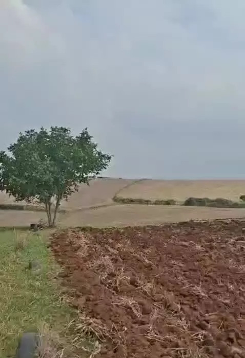 فروش زمین هزارمتری واقع در روستای قلعه سر