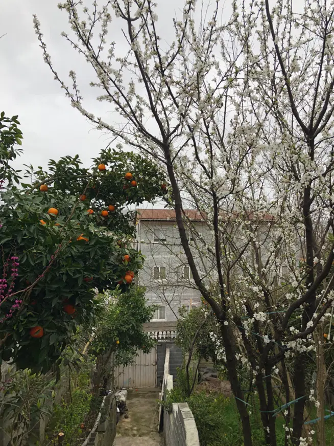 ۷۵۰ متر خانه ویلایی و زمین