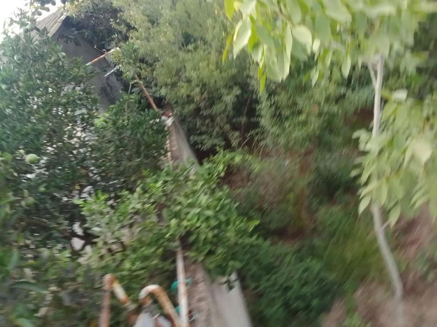 زمین مسکونی معلم کلا محمودآباد