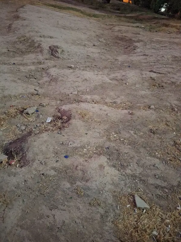 زمین (طرح مسکن ملی)