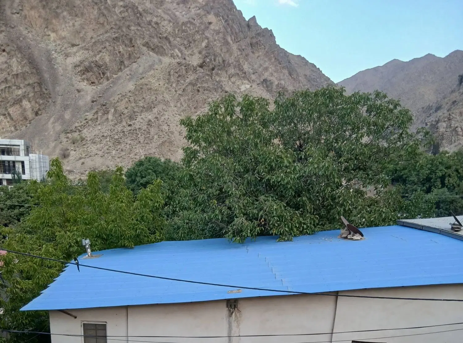 باغ و زمین و خانه