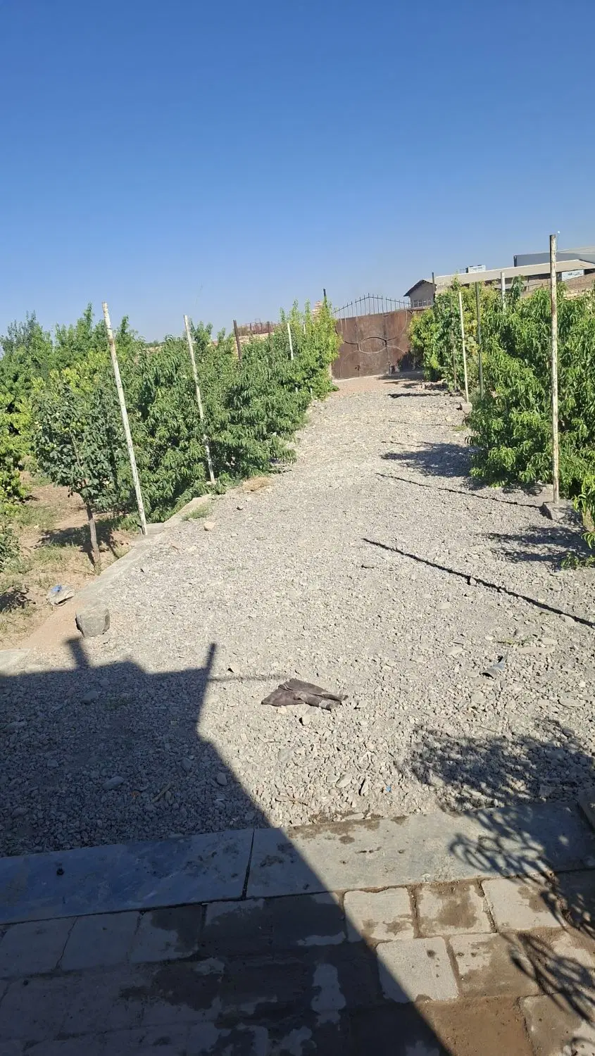 سوئیت باغ ساعتی