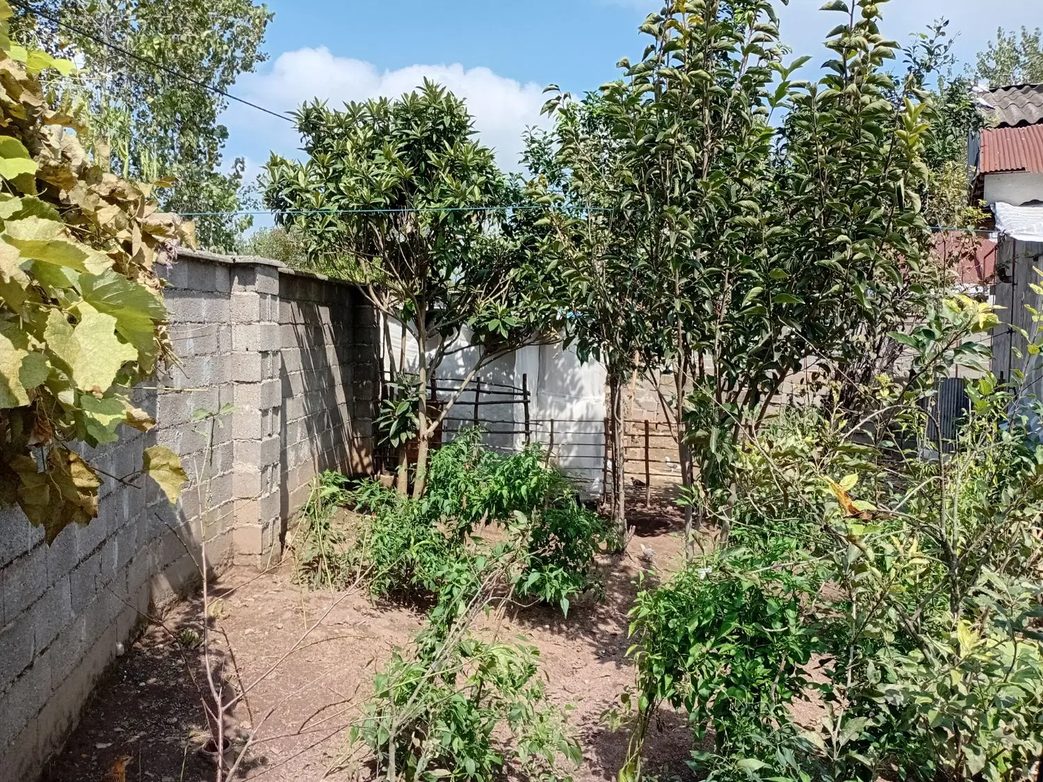 خانه ویلایی