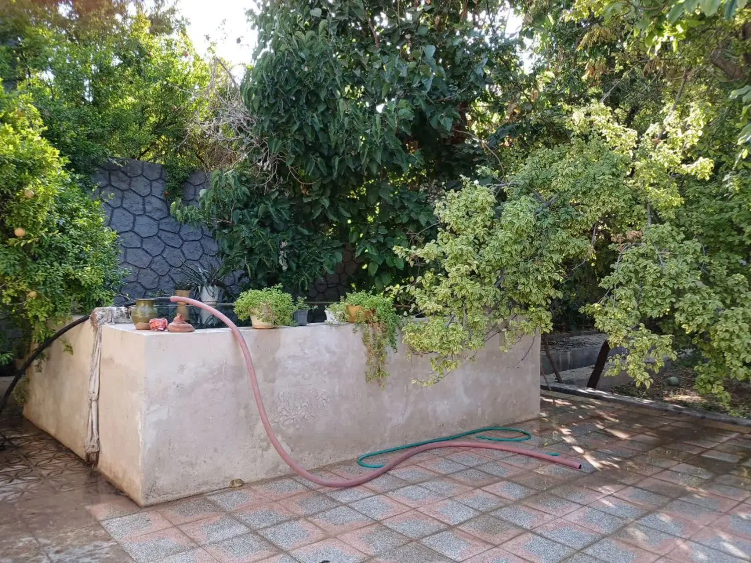 خانه باغ.مهریز.اجاره