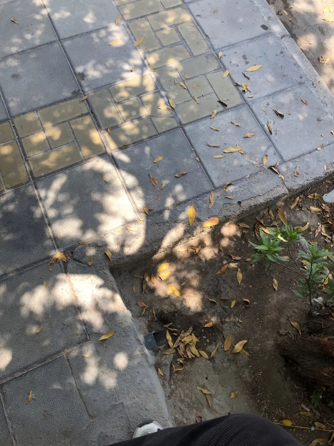 زمین پیرمرادی