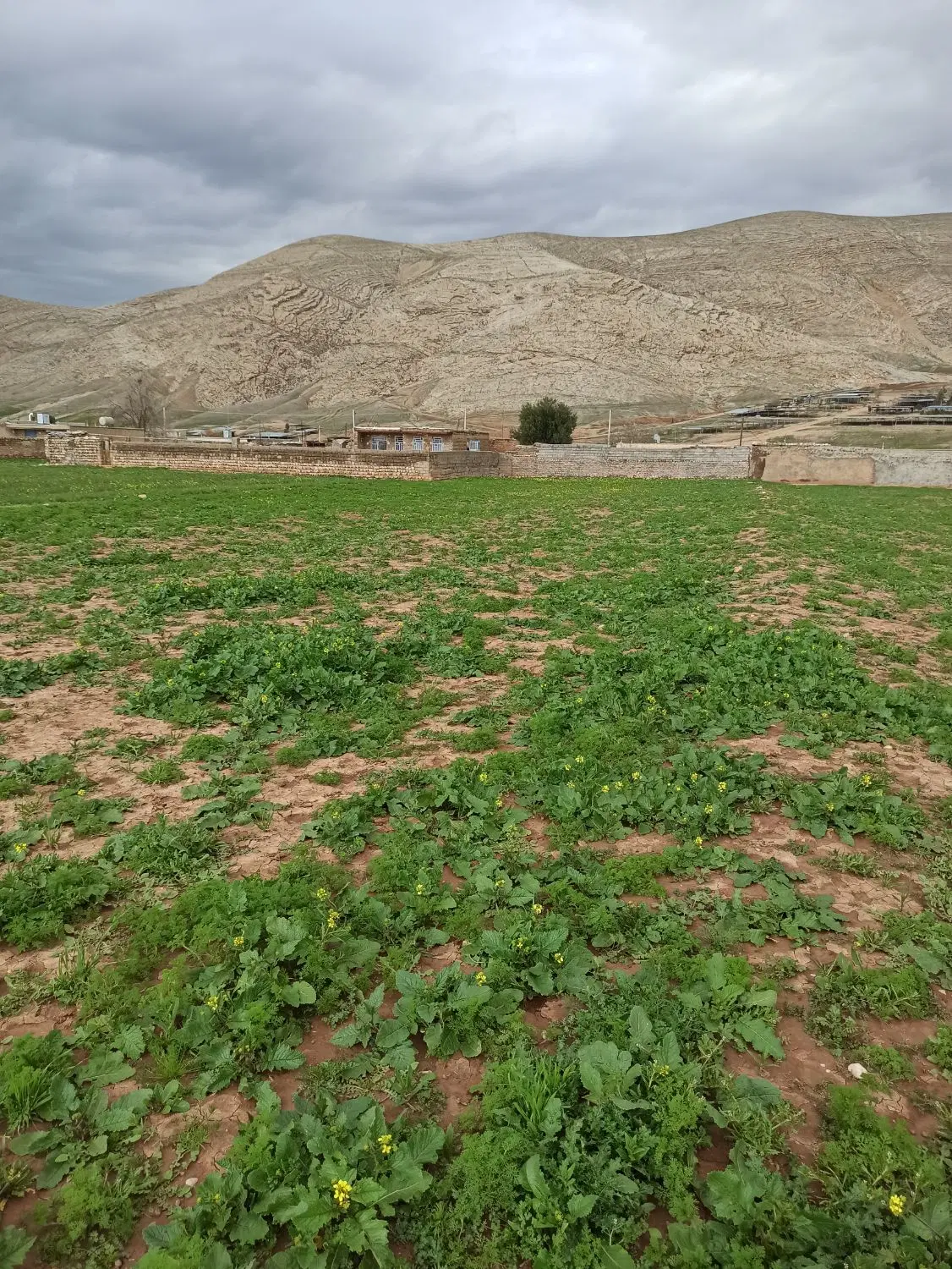زمین کشاورزی مسکونی