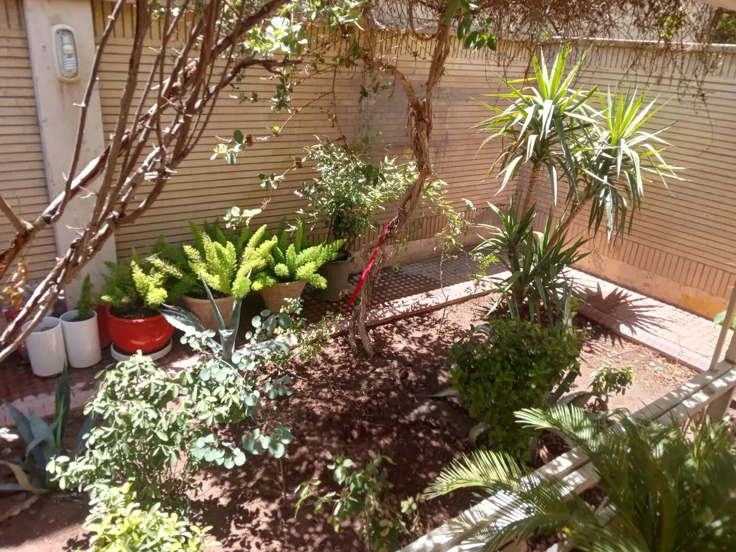 مشاعی فاز۲ همکف جنوبی
