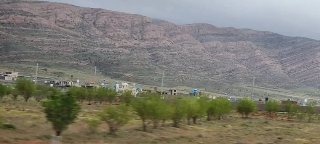 زمین باغ شهری