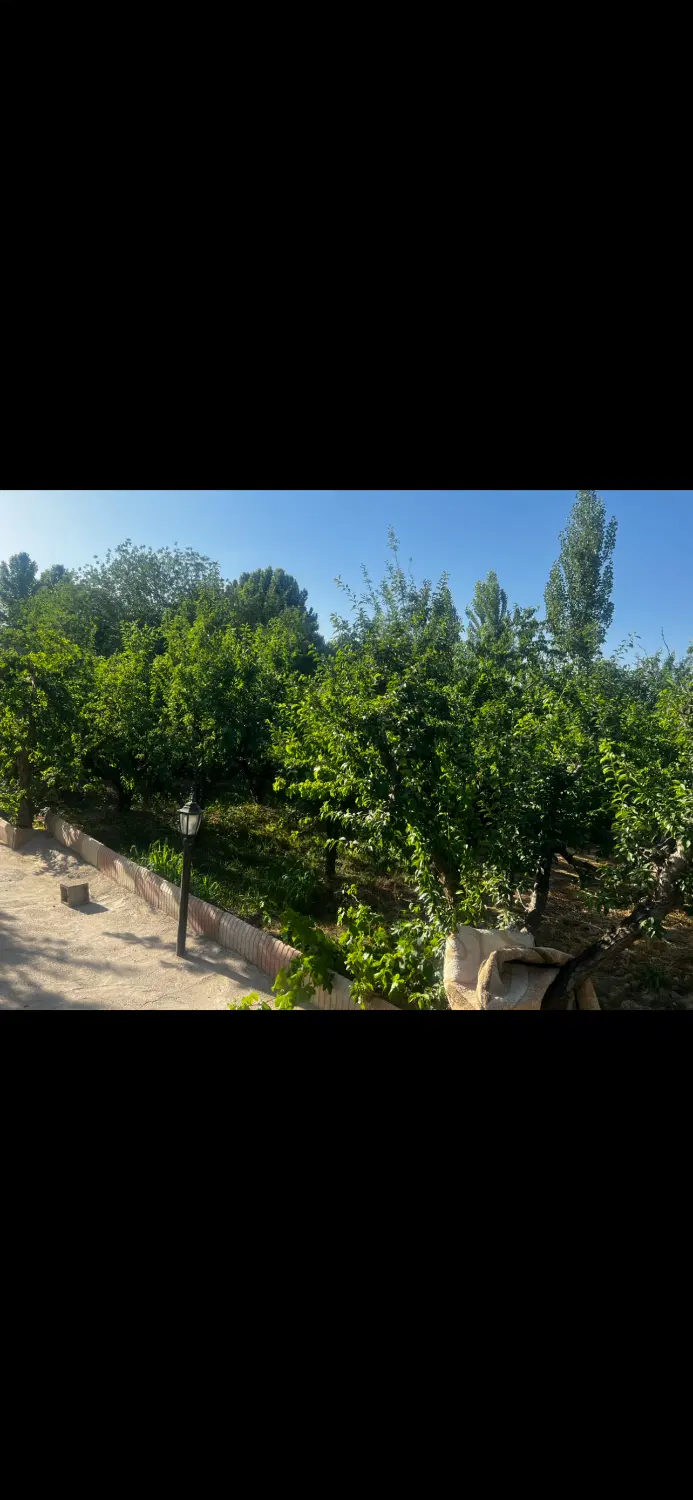 ۸۵۰ متر باغ ویلای چهار باغ _سنقر اباد