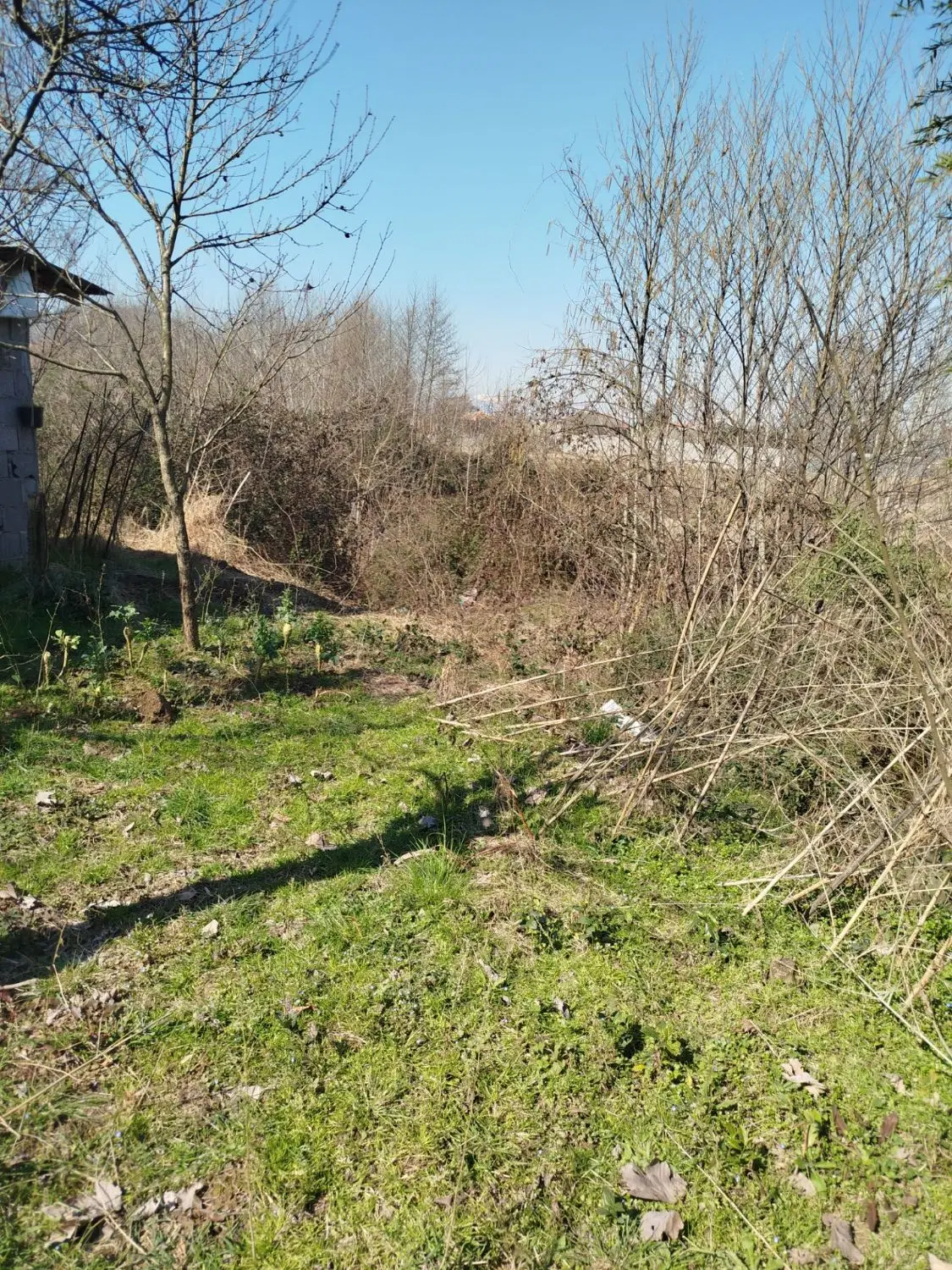 زمین مسکونی