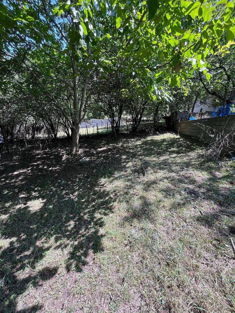 بهشت کوچک شما در قلب سواد کوه (روستای برنت)