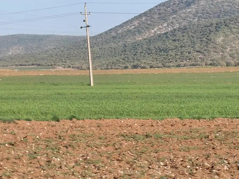زمین کرناچی کوچه اول