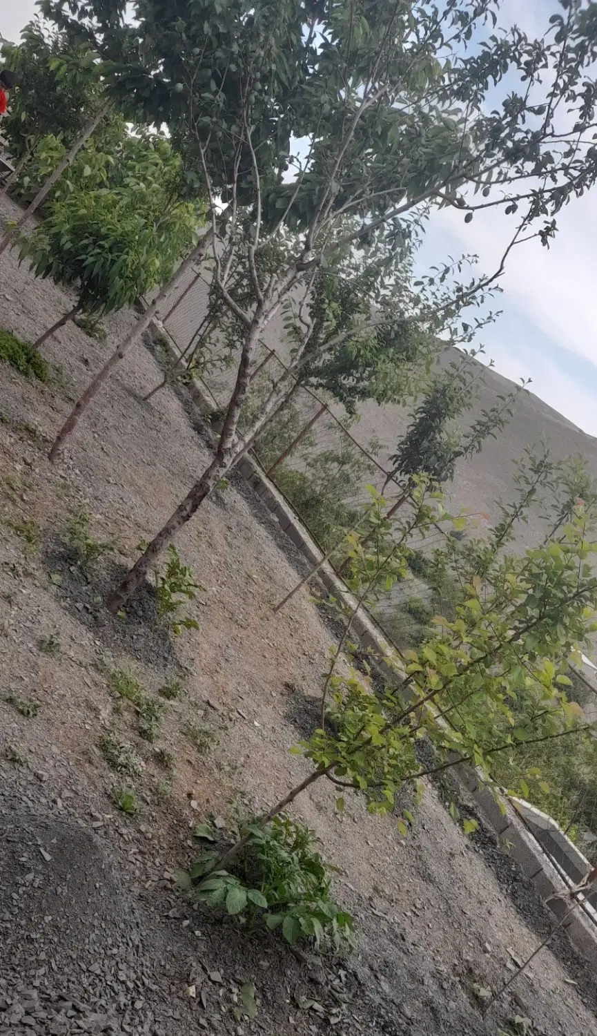 باغ رویایی ۵۰۰ متری بااستخر و کلبه دوشیب