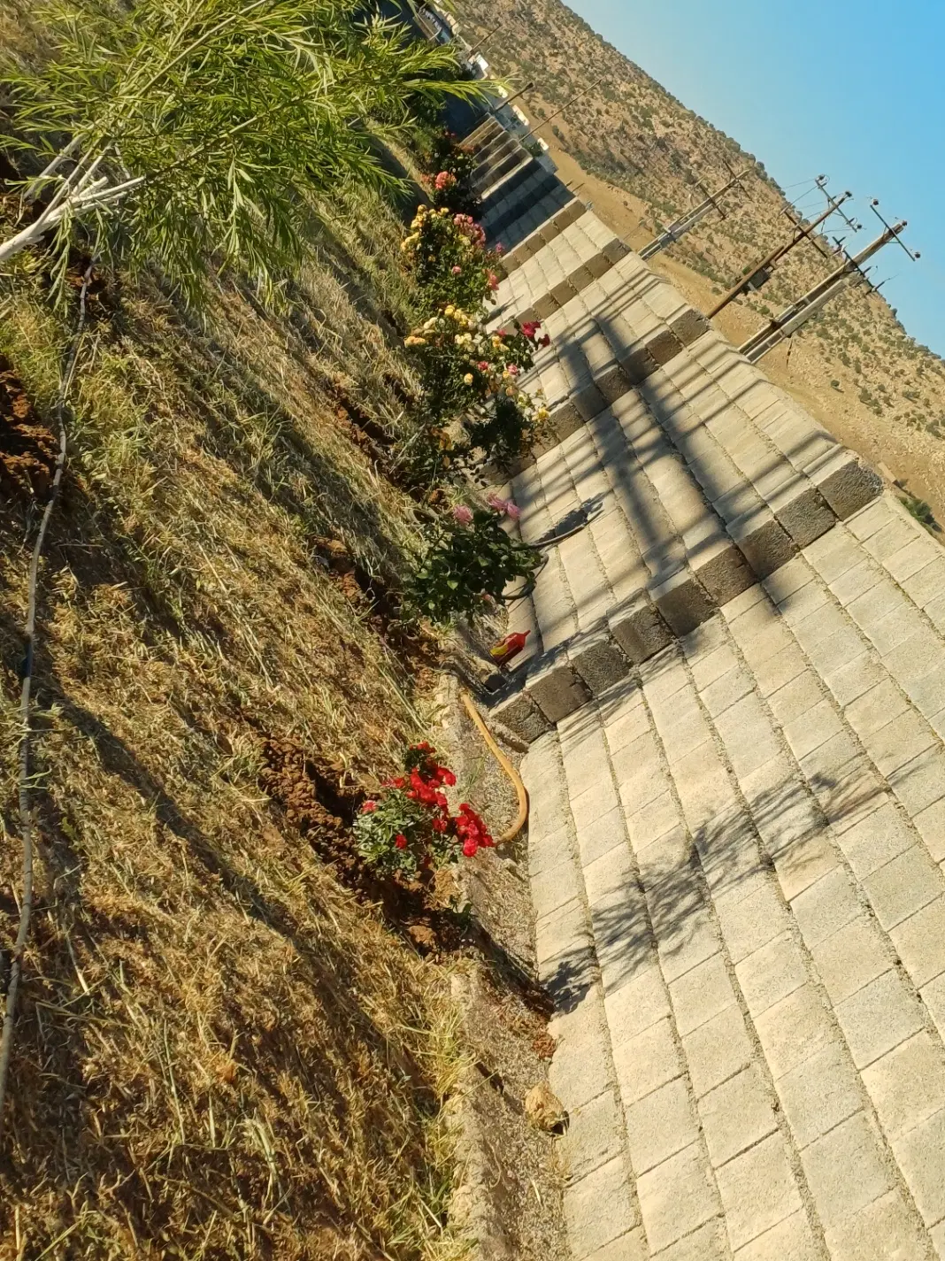 زمین دیوار کشی شده جهت اجاره مسقف اسلام آبادغرب