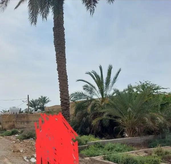 فر‌وش زمین