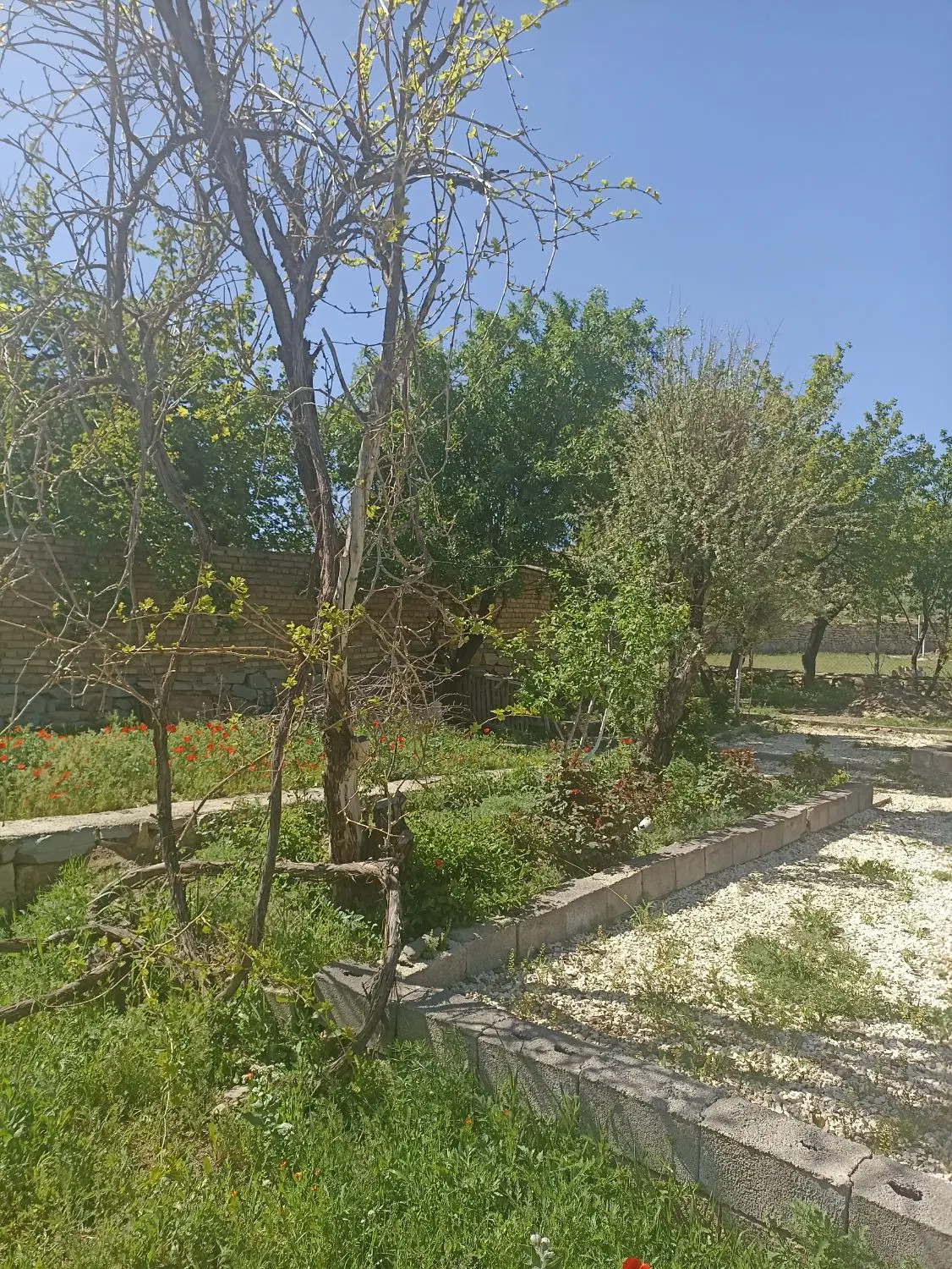 باغ نزدیک شهر