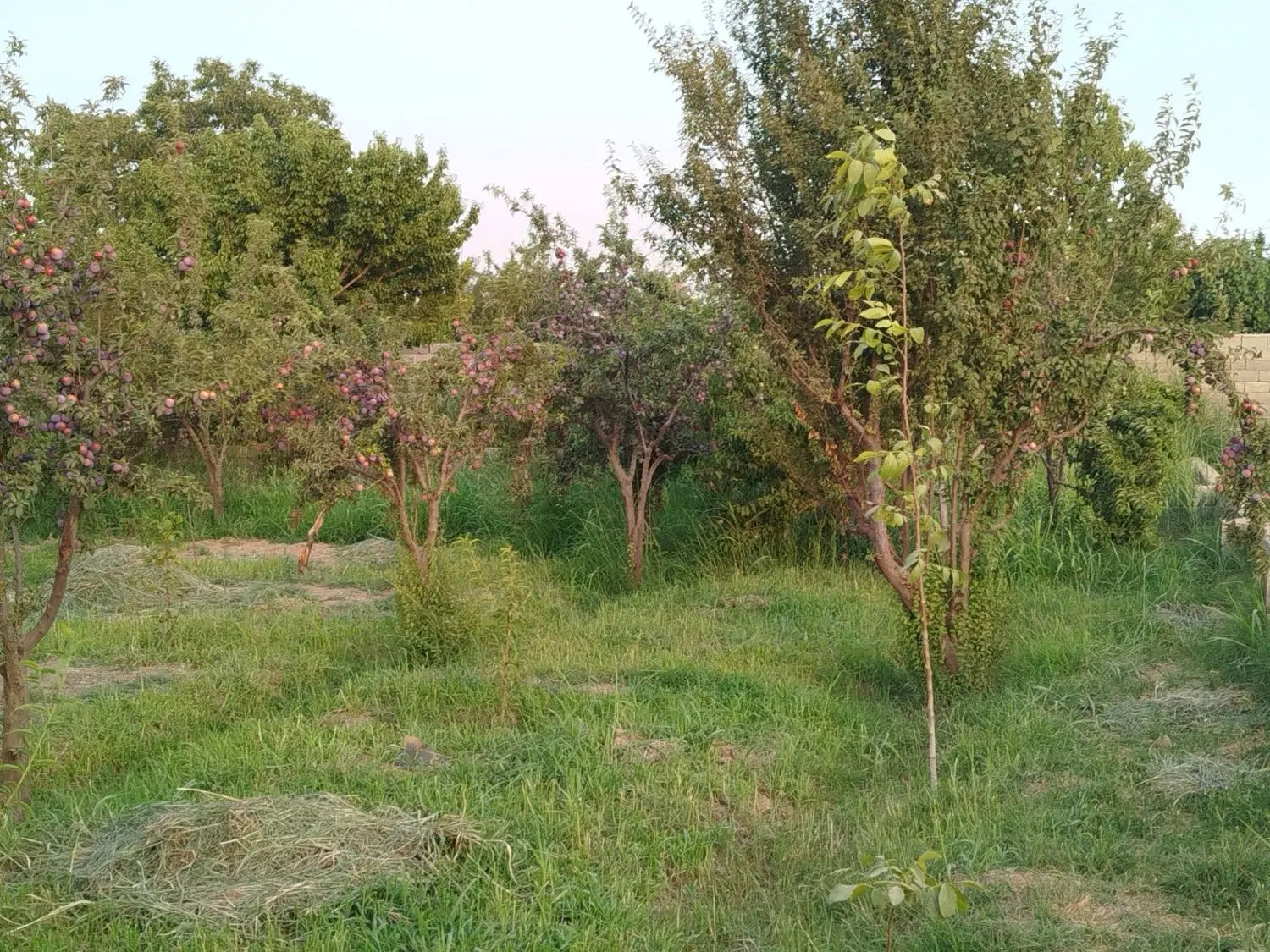لطفاً خریدار واقعی زنگ بزنه