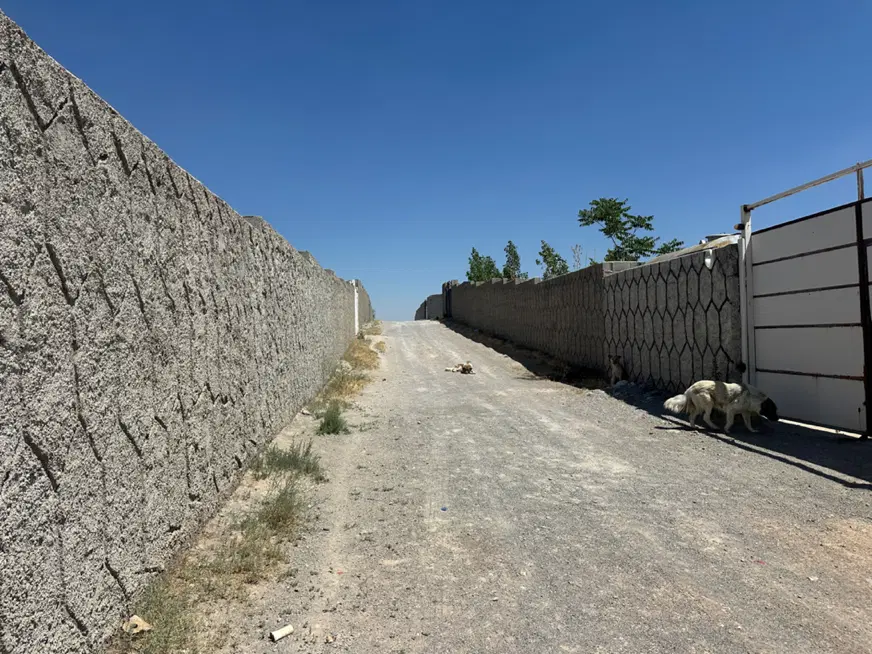فروش باغ زمین ویلای باسمنج کاوه