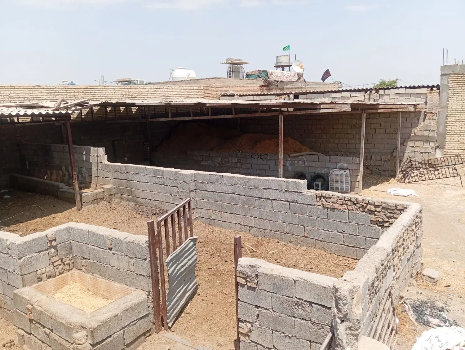 دامداری با امکانات برق آب  سالن های مجزا