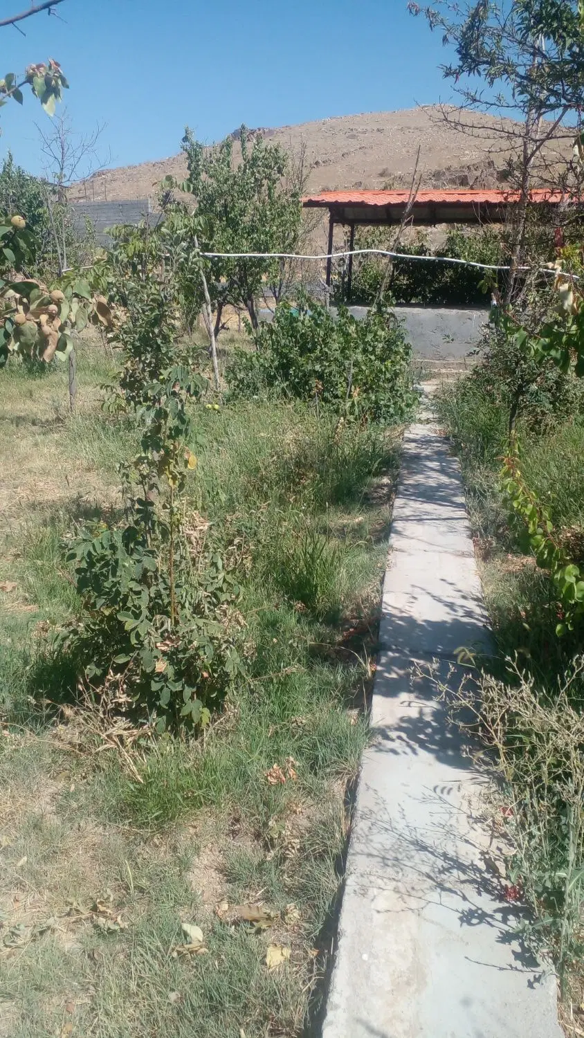 باغ فروشی
