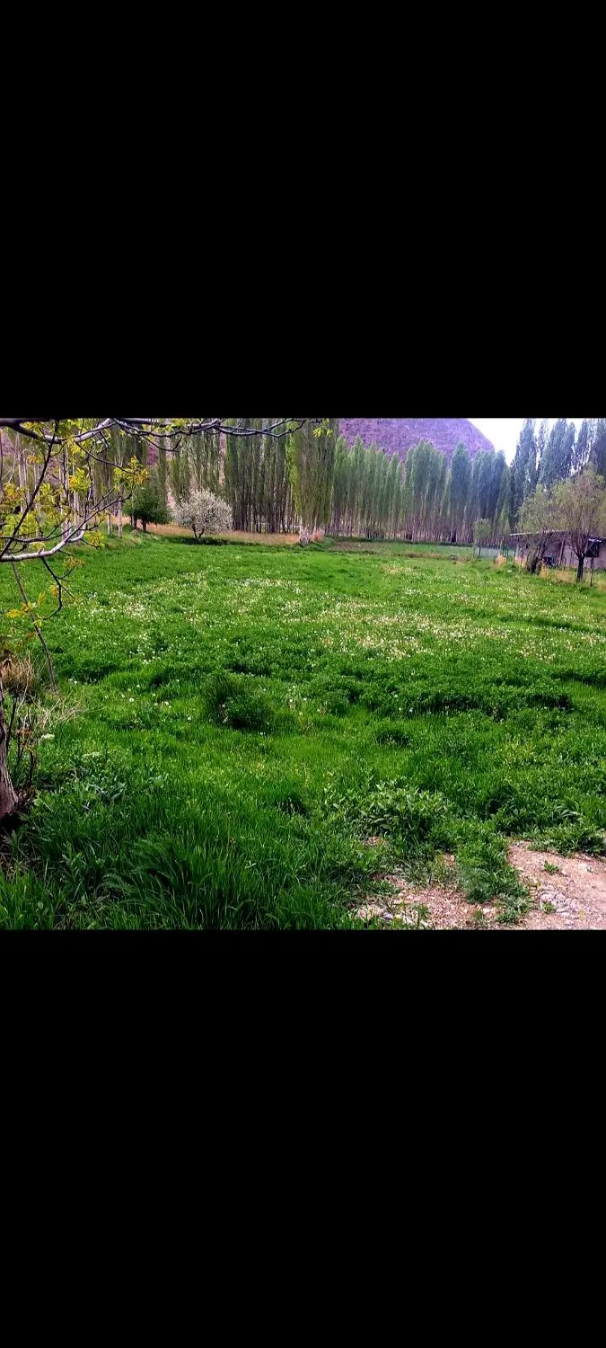 فیروزکوه سرخدشت زمین دارای چشمه آب معدنی