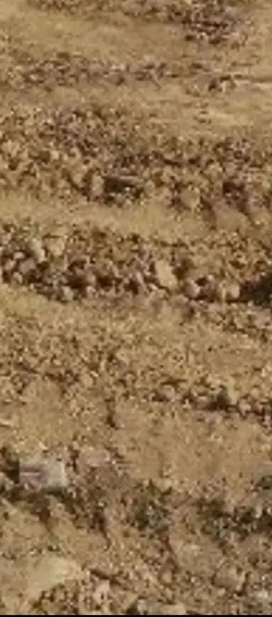 زمین در حاجی آباد معاوضه با موتور