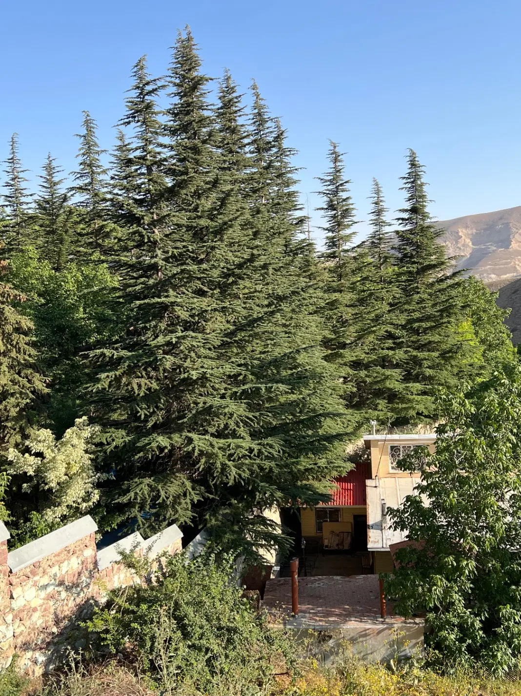 ملک فروشی لواسان