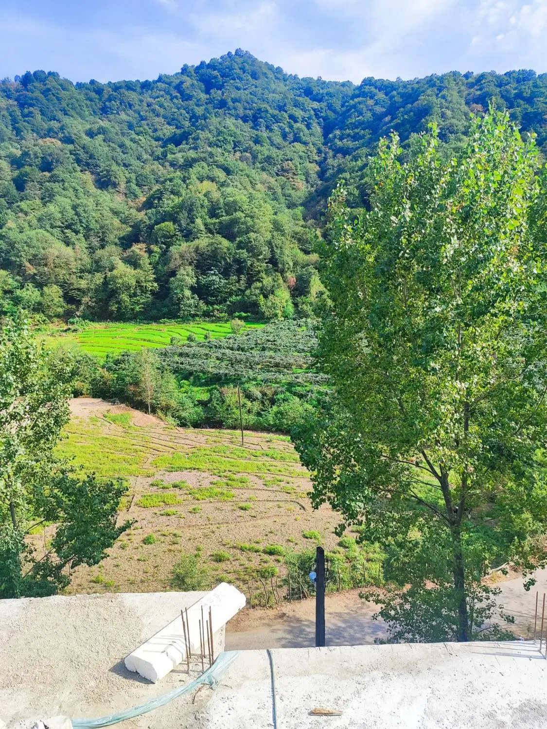 فروش ویلای نیمه کاره جنگلی