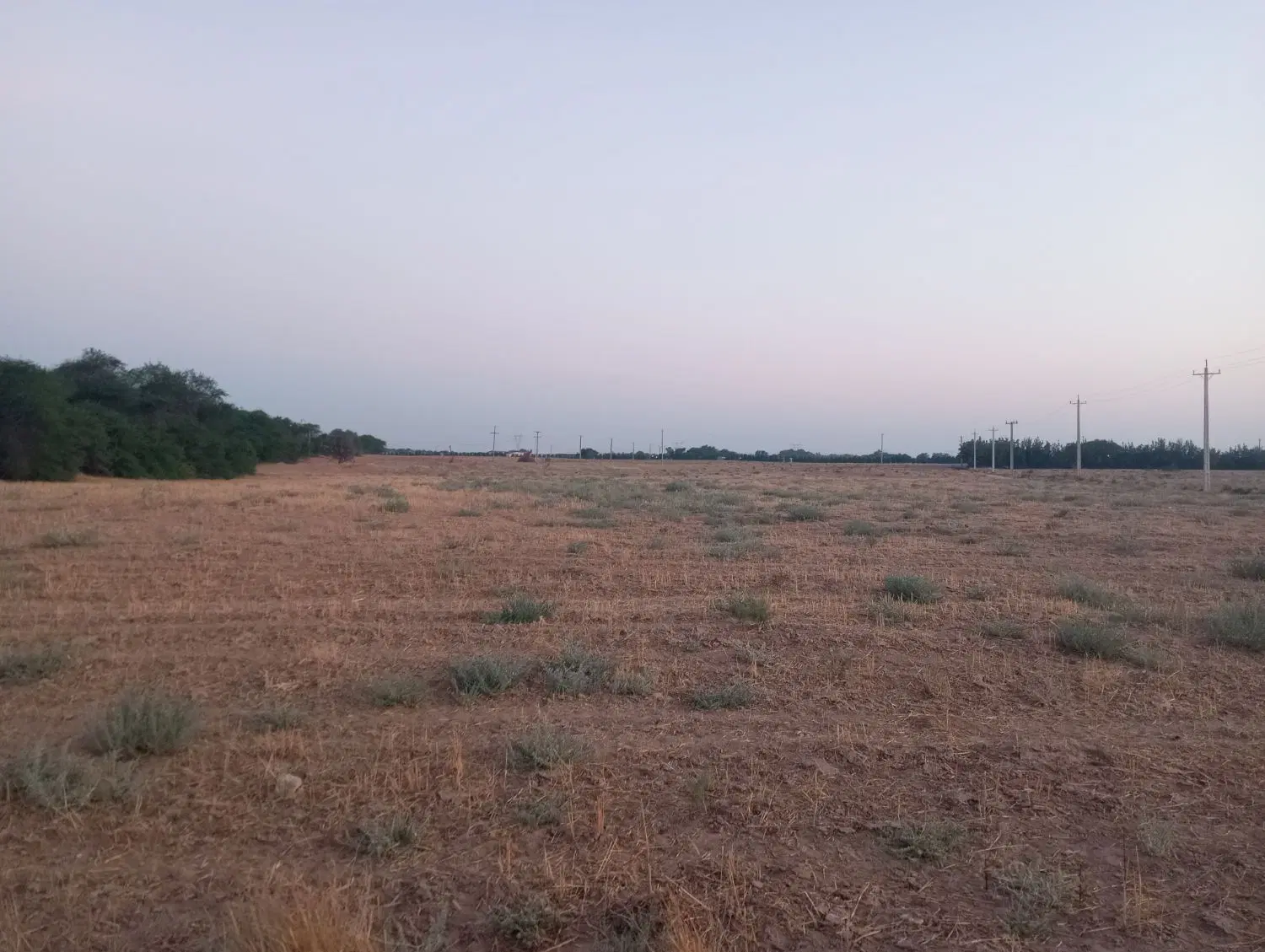 زمین کشاورزی