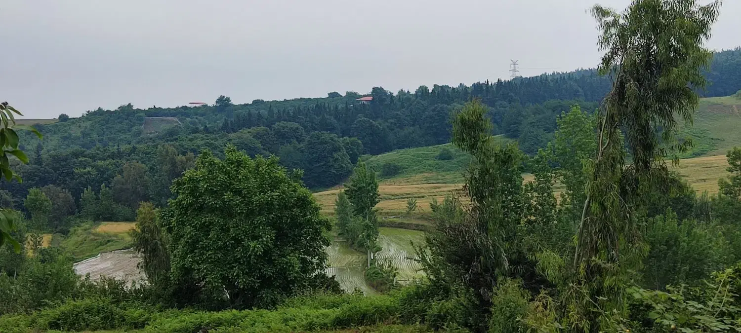 ۳۱۰ متر زمین ۳ بر بام ساری( روستای وارد محله)