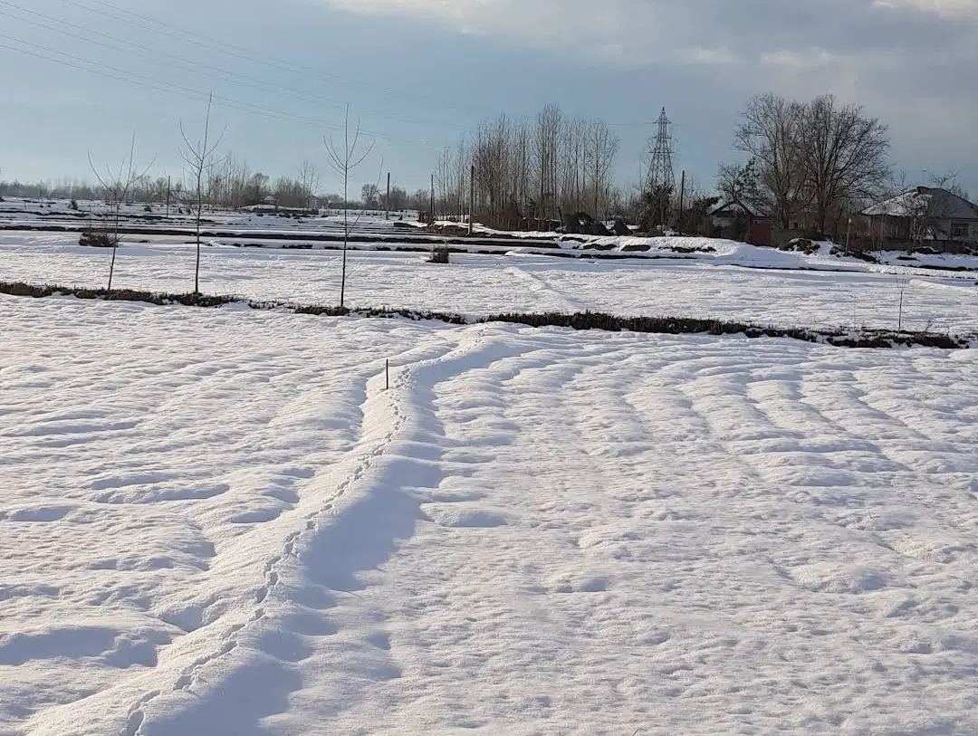 زمین ۵۰۰ متری مسکونی چیران بالا
